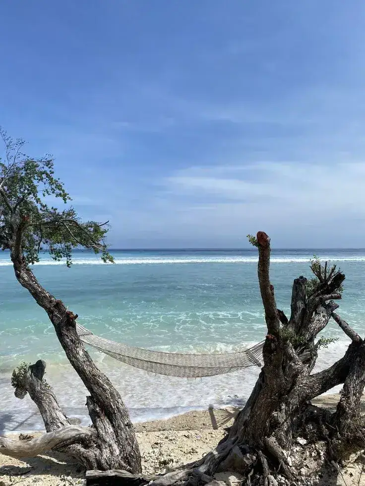 g-land.webp